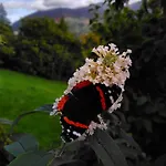 Fern Howe Konukevi